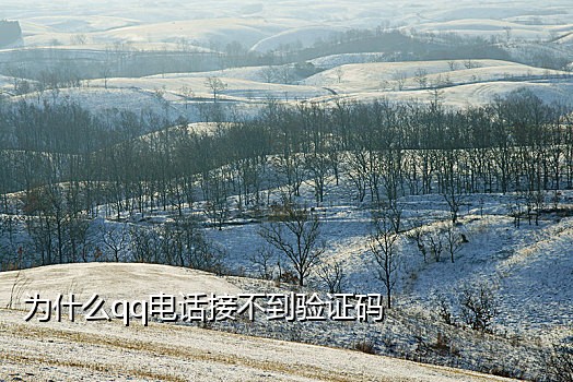 G码短信接码平台