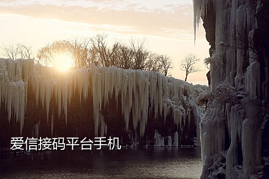 E语言对接短信接码