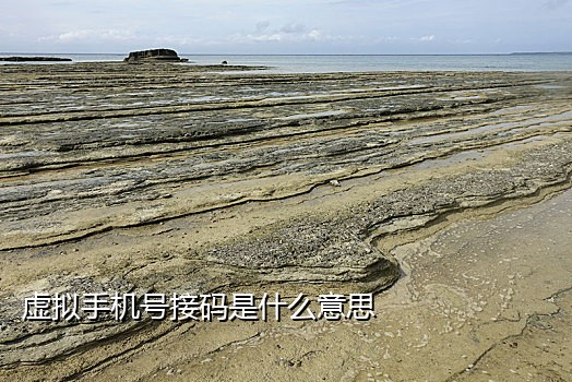 api手机号接码是怎么开发的