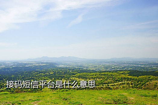 162接码短信平台