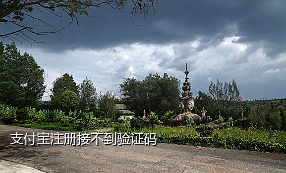 接码 对接 qq