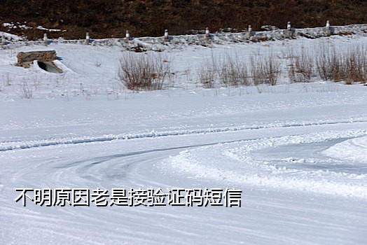 支付宝接码申请