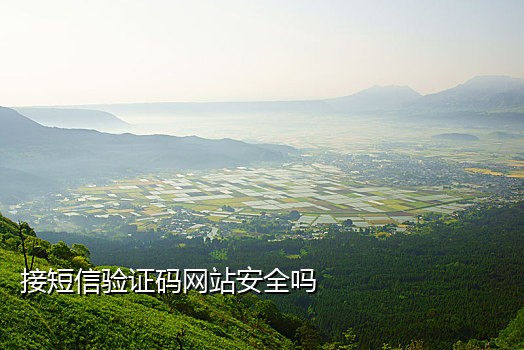 怎么样接别人手机的验证码