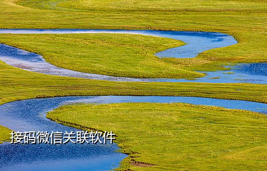 接短信验证码平台网页