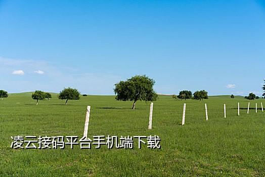 越南在线云短信接码