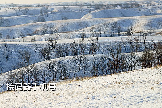 亚马逊 美国号接码api