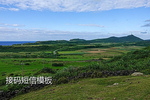 迅捷接码平台的进qq群口令