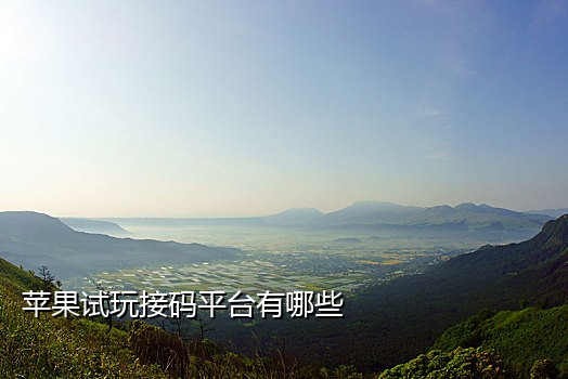 接不到支付宝验证码