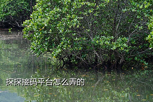 星辰接码app手机版