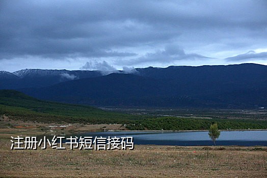 新手机号接一码