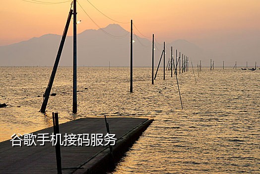 接不到苹果发来的验证码