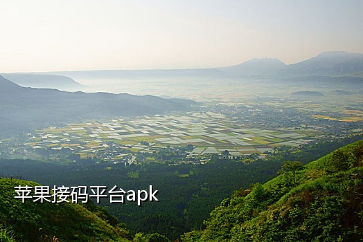 新蓝鸟接码手机客户端是什么软件