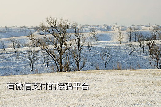 小程序短信接码有哪些