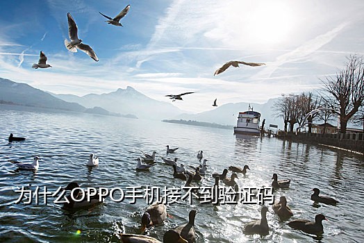 小白接码短信平台下载官网