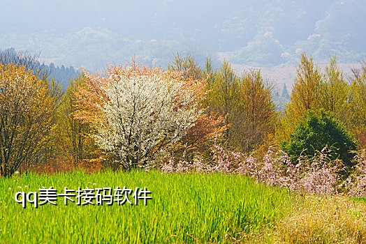 小白接码短信官网下载安装