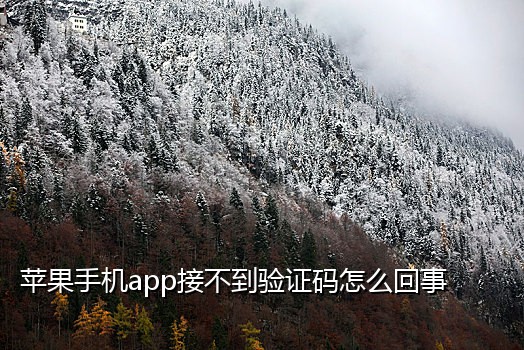 极速接码软件推荐手机下载