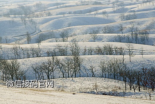 微信换绑接码虚拟号