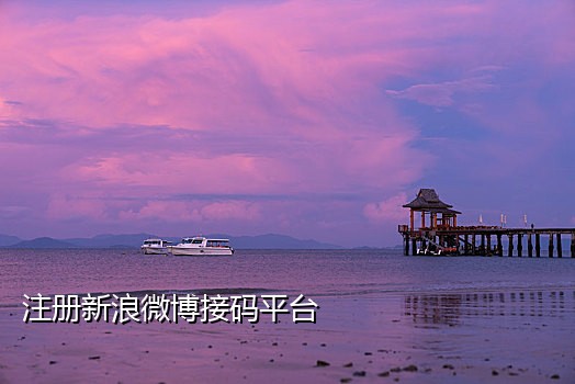 微信登录验证码接码