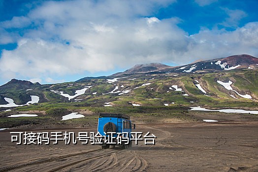 微信的接码平台