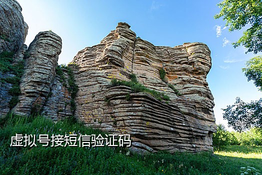 微视提现接码