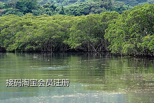 微博号接码自助购买怎么弄