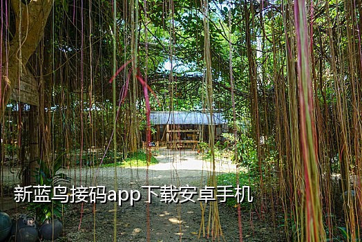 停机手机接码
