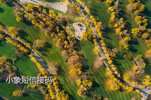 腾讯云接码平台