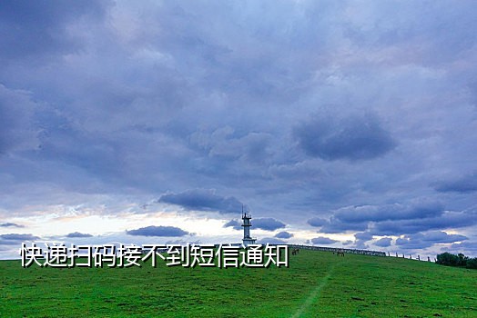 淘宝怎么接语音验证码