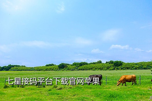 淘宝接码有风险吗