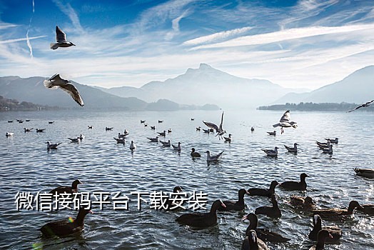 淘宝二维码任务在哪里接