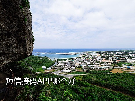 台湾接短信验证码的平台