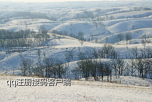 华为手机接健康码怎么接