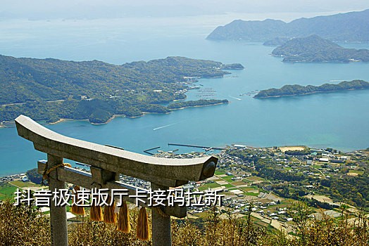 手机接语音验证码