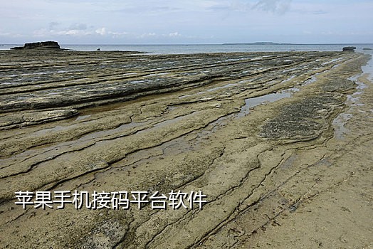 手机接码赚钱项目骗局揭秘