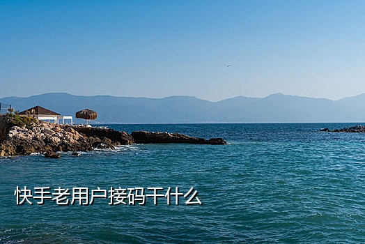 手机接码注册东西