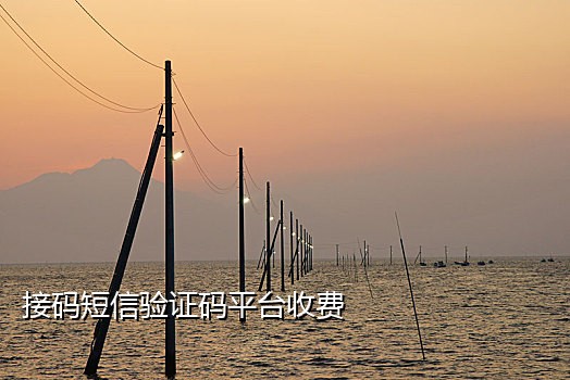 手机接码一个三块