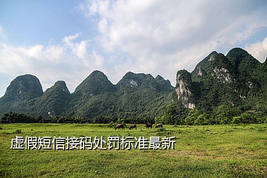 手机接码软件合集