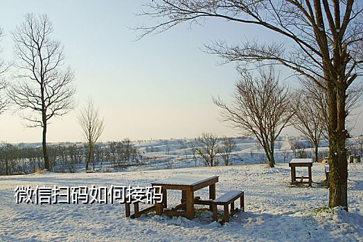 手机接码教程视频教程