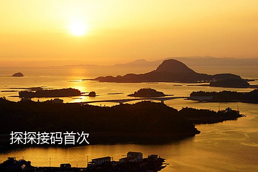 手机接码暴力项目