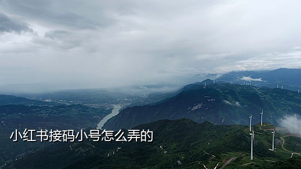 手机接不到验证码怎么弄