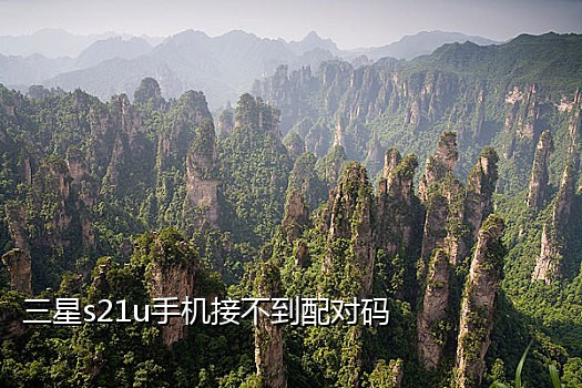 好用的手机接码平台有哪些