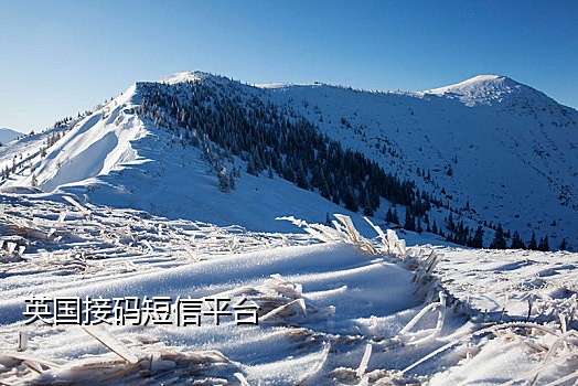 手机号接码收费软件是什么