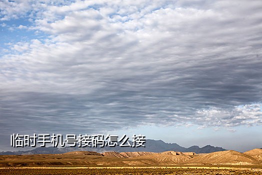 手机号接码是啥意思啊
