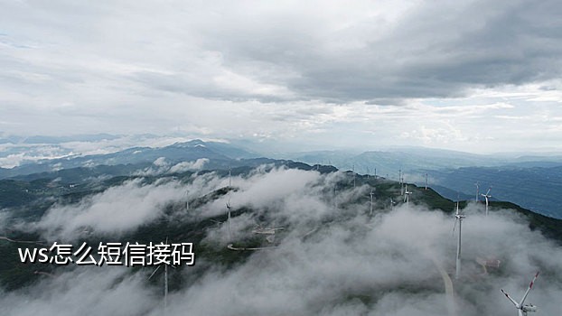 海外短信接码助手怎么用