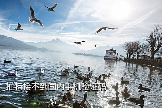 神话接码平台发送短信