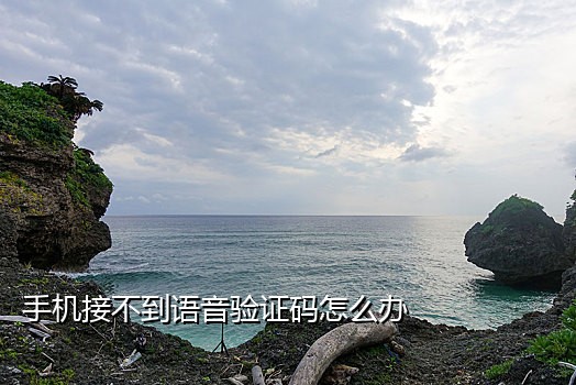 哈啰出行手机接码