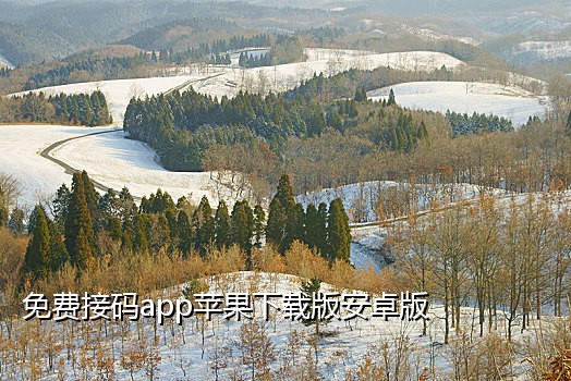 企业微信ip和接码一致是什么