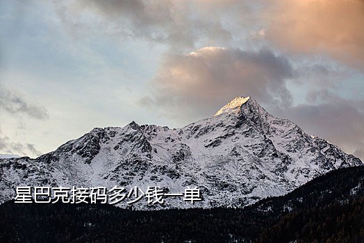 苹果系统接码app