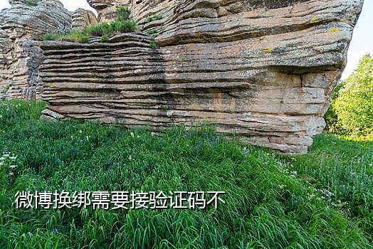 国外虚拟电话接码网址