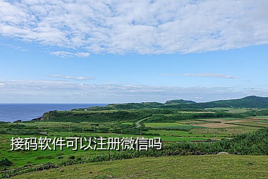 拼多多微信接码